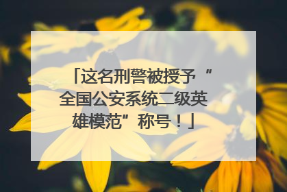 这名刑警被授予“全国公安系统二级英雄模范”称号！